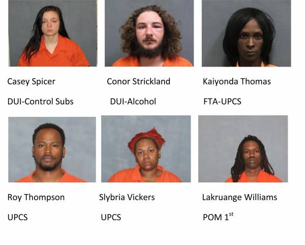 houston county 411 inmate search