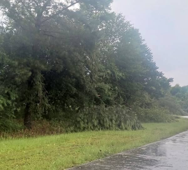 Eufaula Tornado Damage and Photos