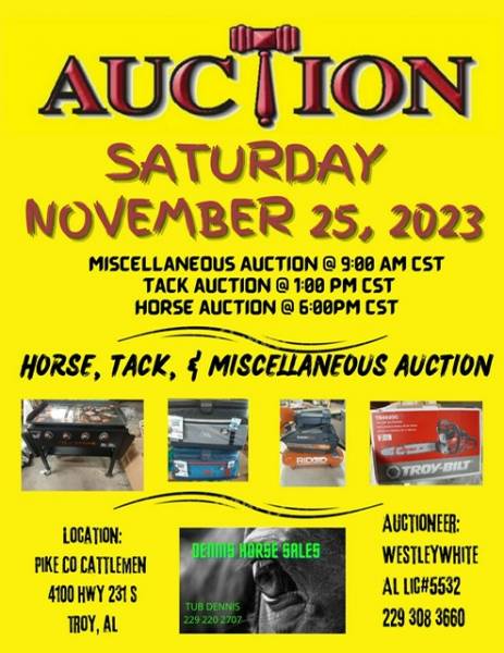3 Big Auction  Coming up