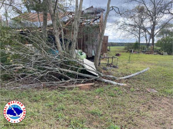 National Weather Service Surveys Tornado Damage in Geneva County