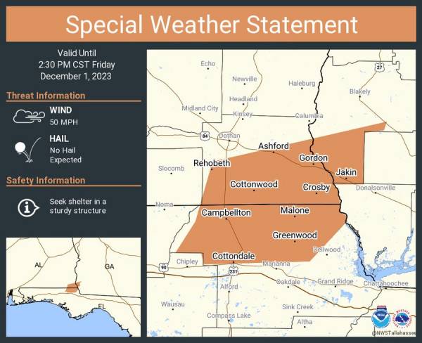 Special Weather Statement has been issued for Ashford