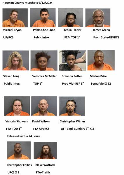 Houston County Mugshots 6/12/2024