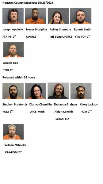 Houston County/ Dothan City Mugshots 10/29/2024