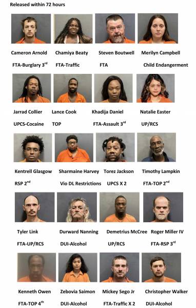 Houston County /Dothan City Weekend Mugshots 11/15/2024-11/17/2024